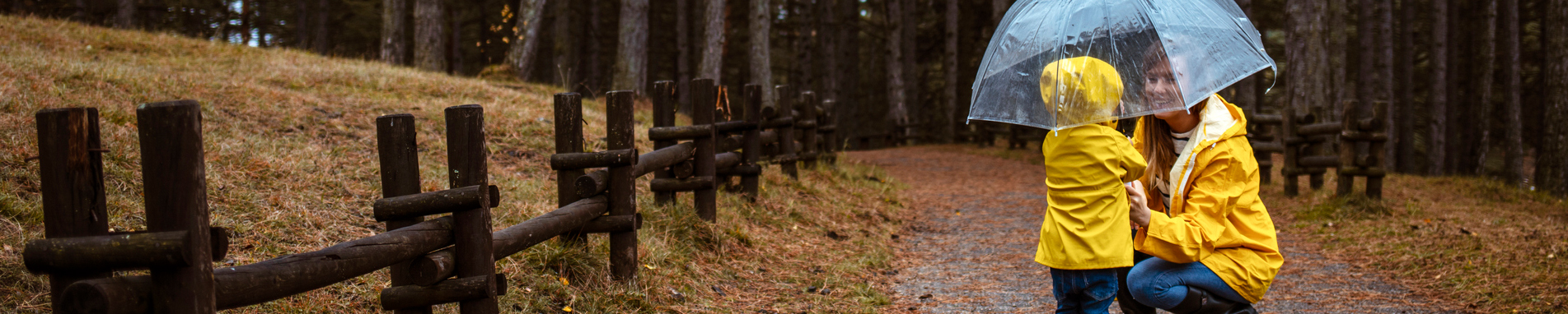 Featured Banner Image
